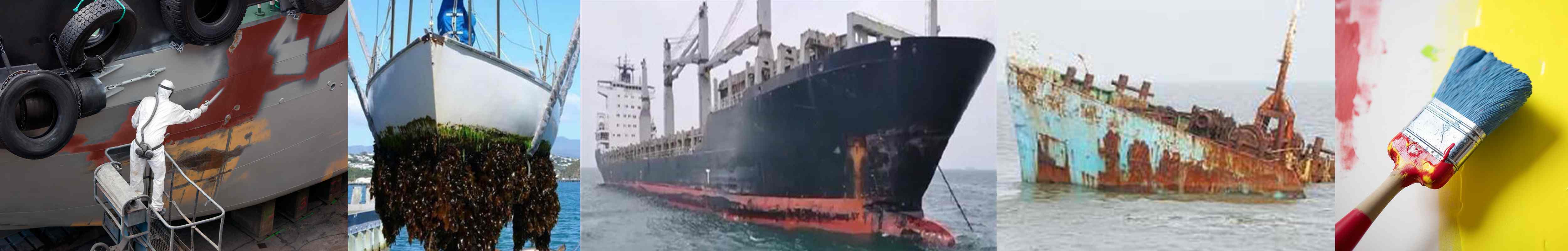 How Antifouling Coatings Address the Challenge of Marine Biofouling Marine Biofouling