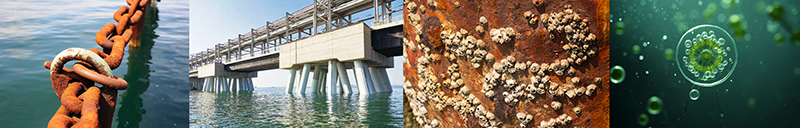 Ultra-fine Particle Size & High Uniformity